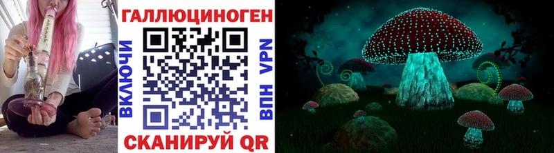 это официальный сайт  где продают наркотики  Снежинск  Галлюциногенные грибы мицелий 